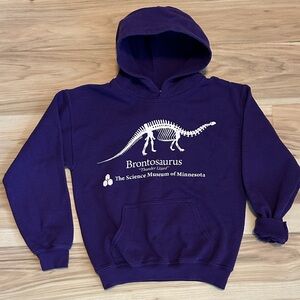 Thunderlizard Purple Brontosaurus Hoodie Stranger Things Small Youth